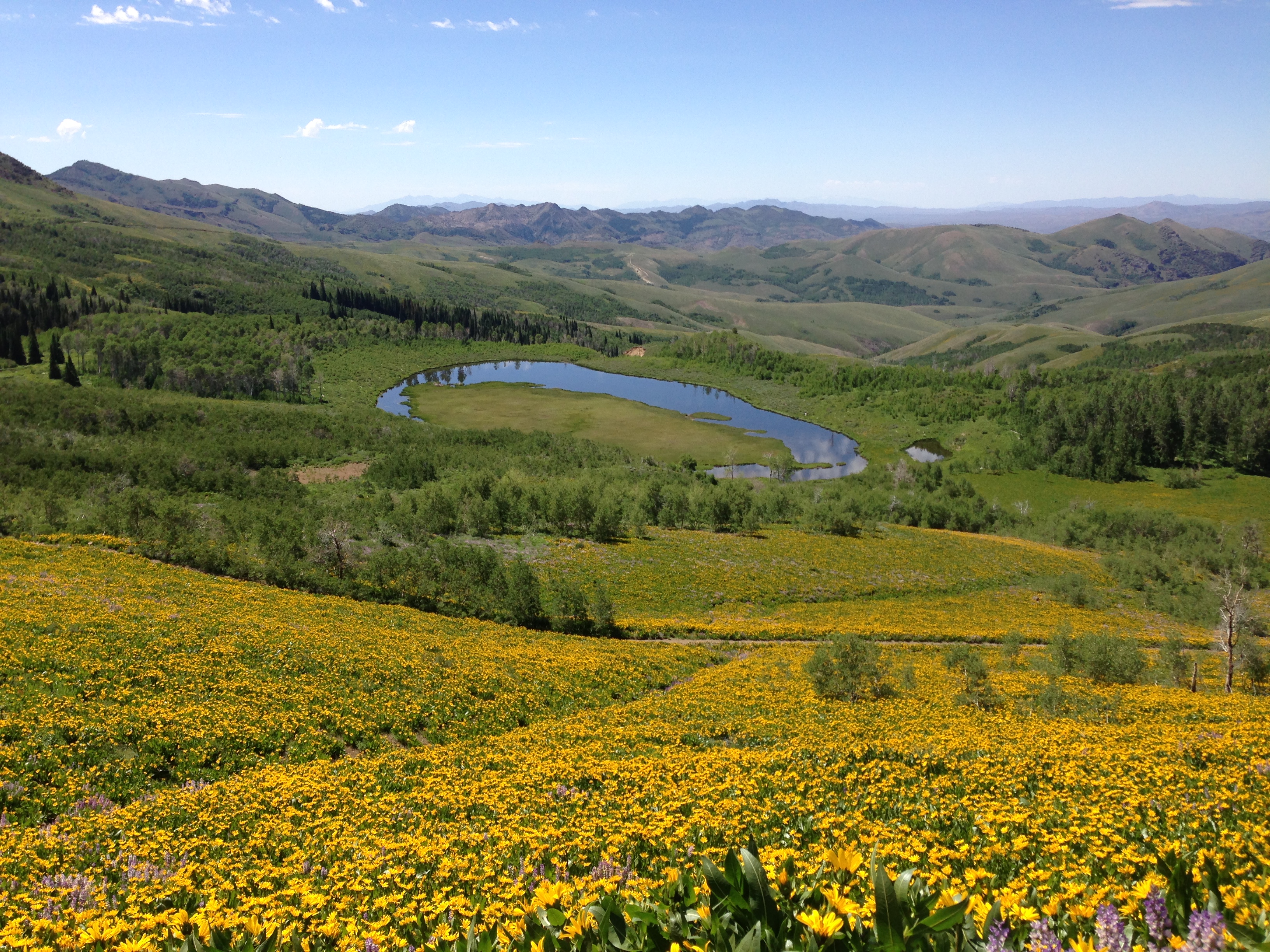 Exploring the Unexplored: Toiyabe National Forest