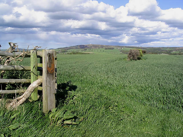 File:Arable farmland - geograph.org.uk - 427591.jpg