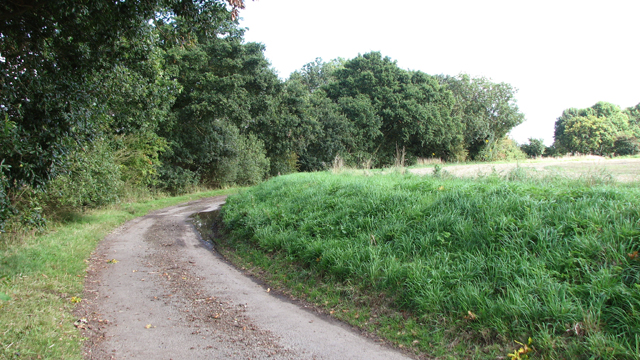 File:Bend in Staithe Road - geograph.org.uk - 4671584.jpg