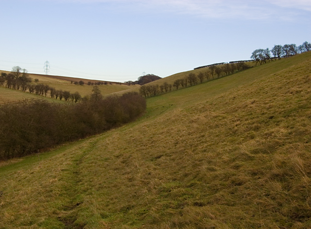 File:Big Hillside, near North Newbald - geograph.org.uk - 1124109.jpg