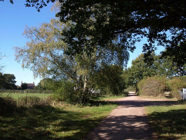 File:Bridleway by Hightown Lake - geograph.org.uk - 1542402.jpg