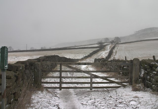 File:Bridleway in Fryup - geograph.org.uk - 136054.jpg