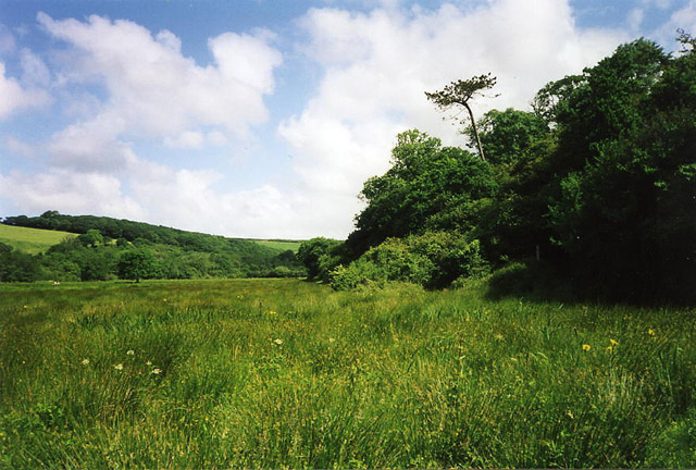 File:Cuby, the Fal valley near Tregony - geograph.org.uk - 92308.jpg