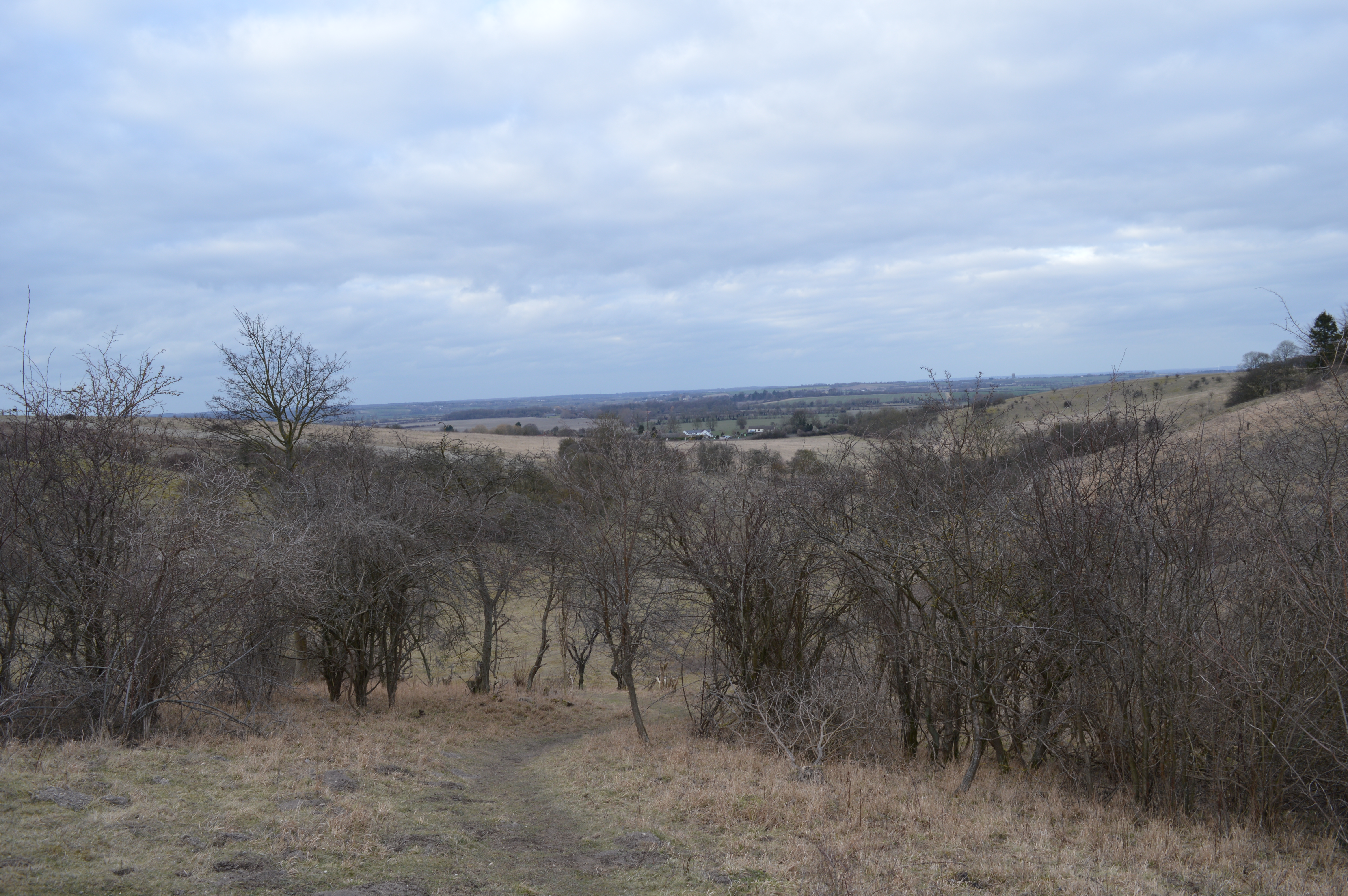 Deacon Hill SSSI