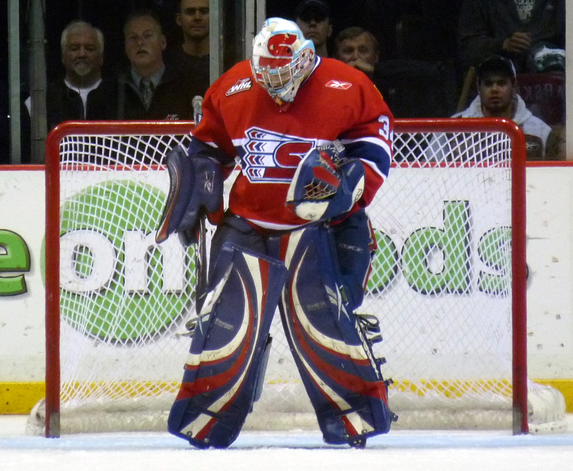 Dustin Tokarski Stats and Player Profile