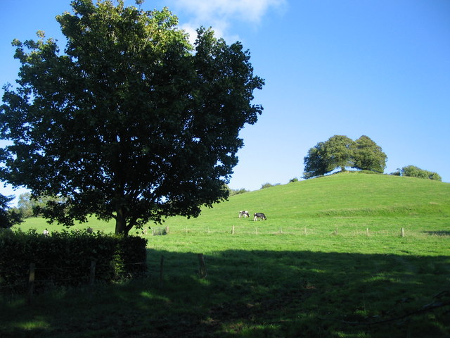 File:Farmland near Carrot Hill Farm - geograph.org.uk - 492351.jpg