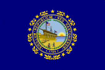 File:Flag of New Hampshire (1909-1931).png