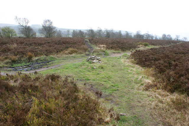 Footpath junction on Blackwood Common, Mytholmroyd - geograph.org.uk - 1251179