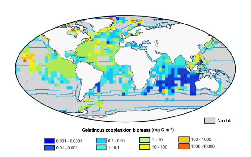 File:Gelatinous zooplankton biomass.png