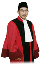 <span class="mw-page-title-main">Hamdan Zoelva</span> Indonesian politician and lawyer