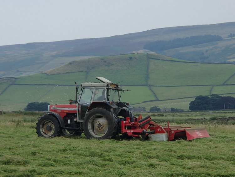 File:Hay making above Abney - geograph.org.uk - 3590563.jpg