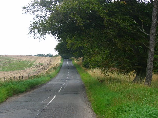 File:Hill road, Crichton - geograph.org.uk - 49375.jpg