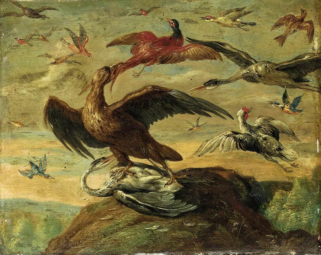 https://upload.wikimedia.org/wikipedia/commons/a/a6/Jan_van_Kessel_%28I%29_-_Birds_-_WGA12130.jpg