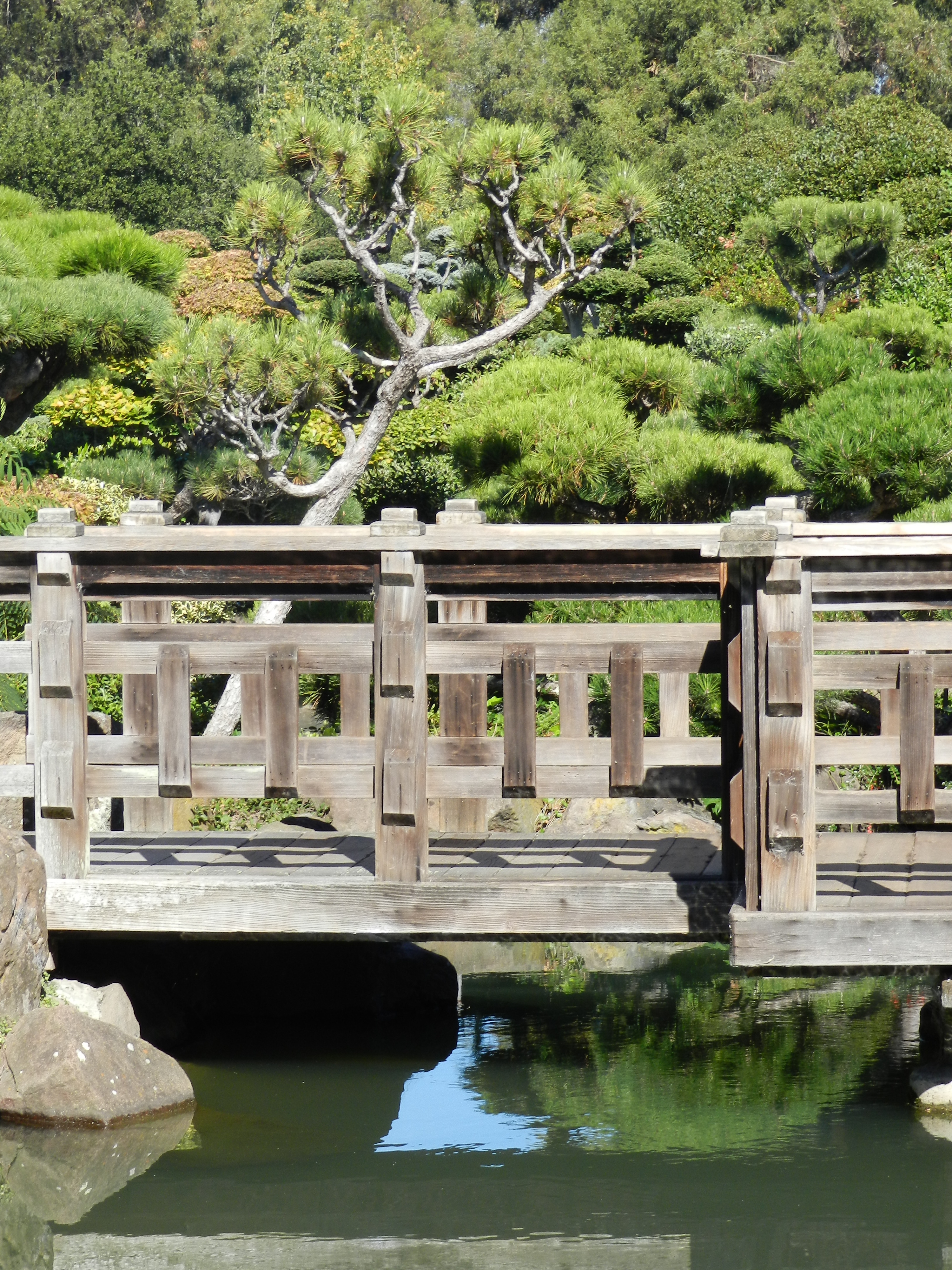 File Japanese Gardens Bridge Hayward Jpg Wikimedia Commons