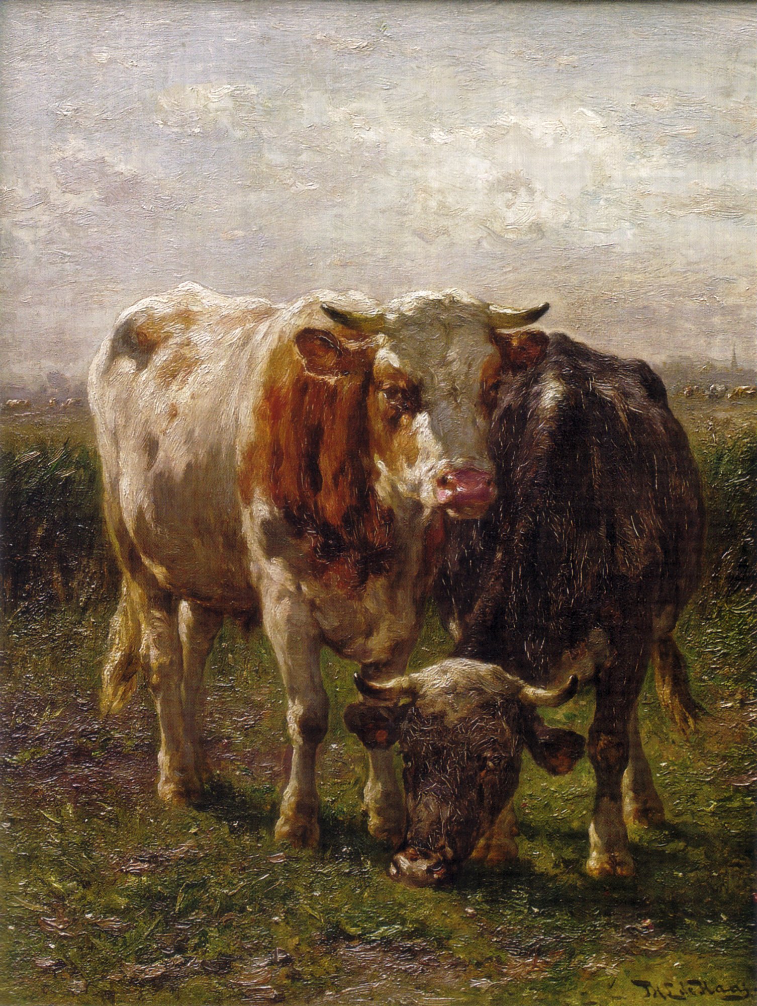 Zeeziekte kruis als je kunt File:Johannes Hubertus Leonardus de Haas - Stier en koe in de Oosterbeekse  uiterwaarden.jpg - Wikimedia Commons