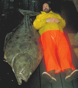 What to Know About Fishing for Halibut in Alaska