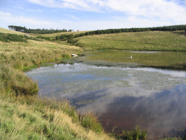 File:Lower Hass Loch - geograph.org.uk - 240996.jpg