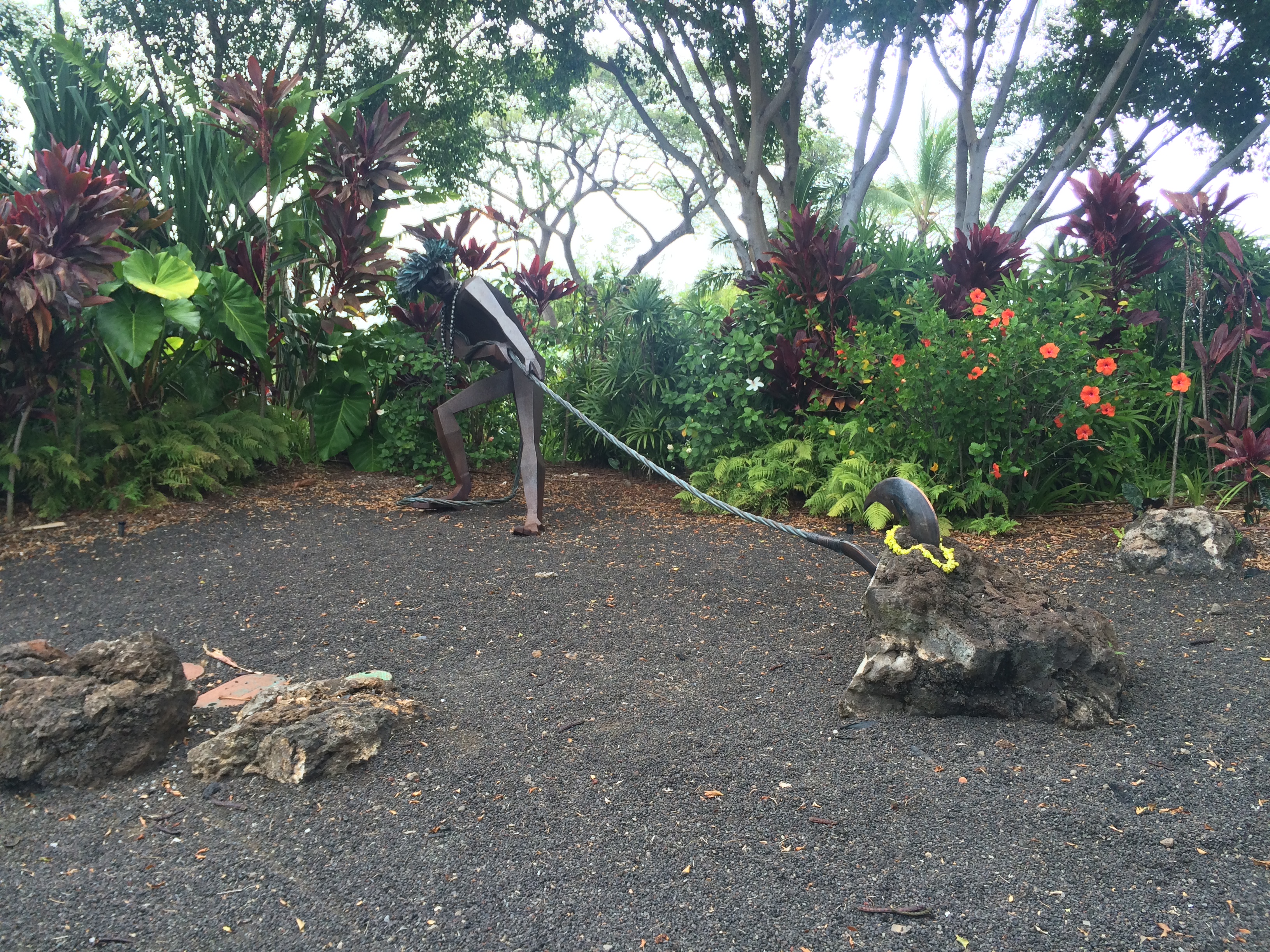 Makau o Oahu - Makau Nui