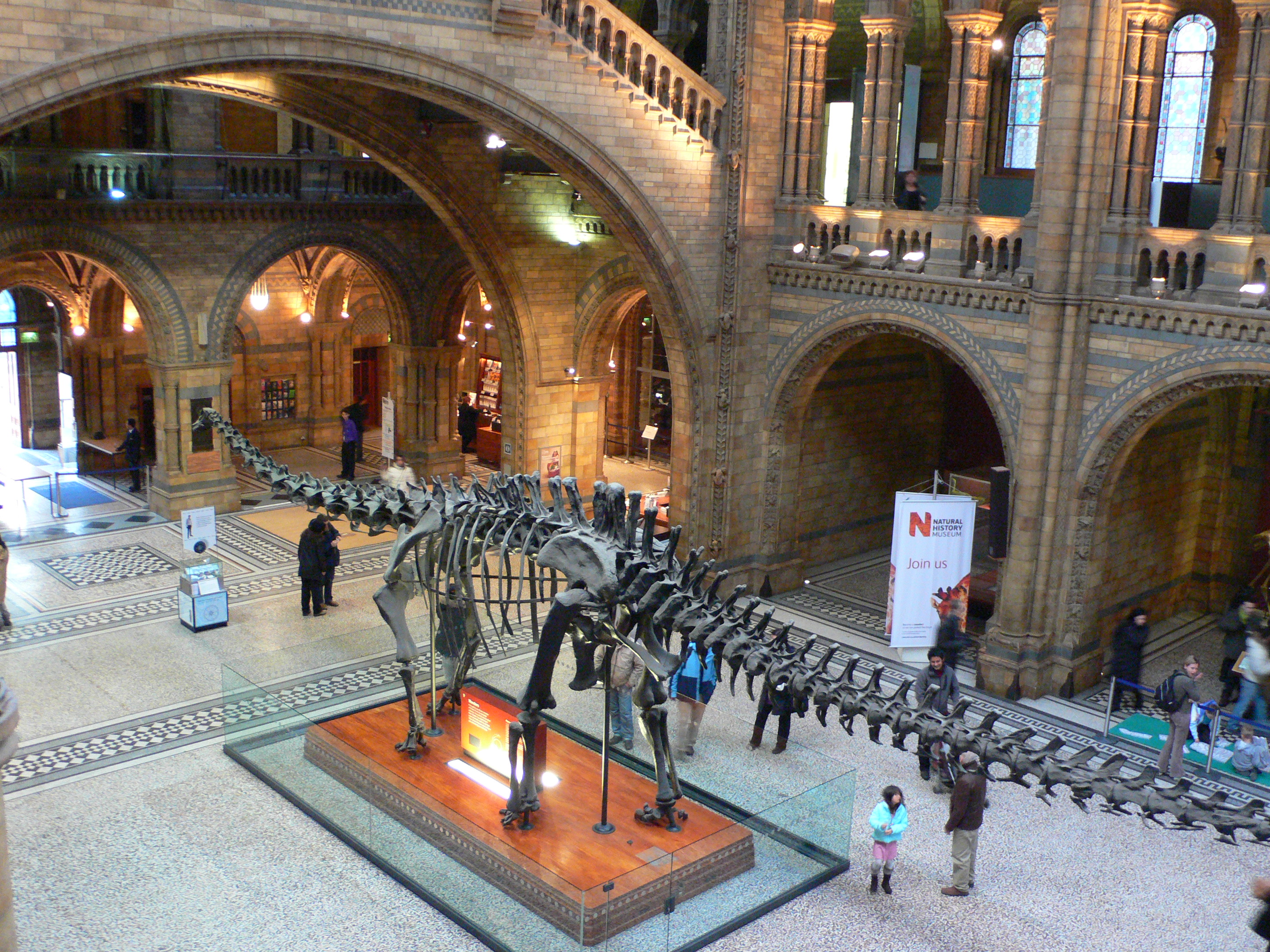 History museum am. Музей естествознания Лондон красная зона. The natural History Museum в 19 веке. Entrance to Museum.