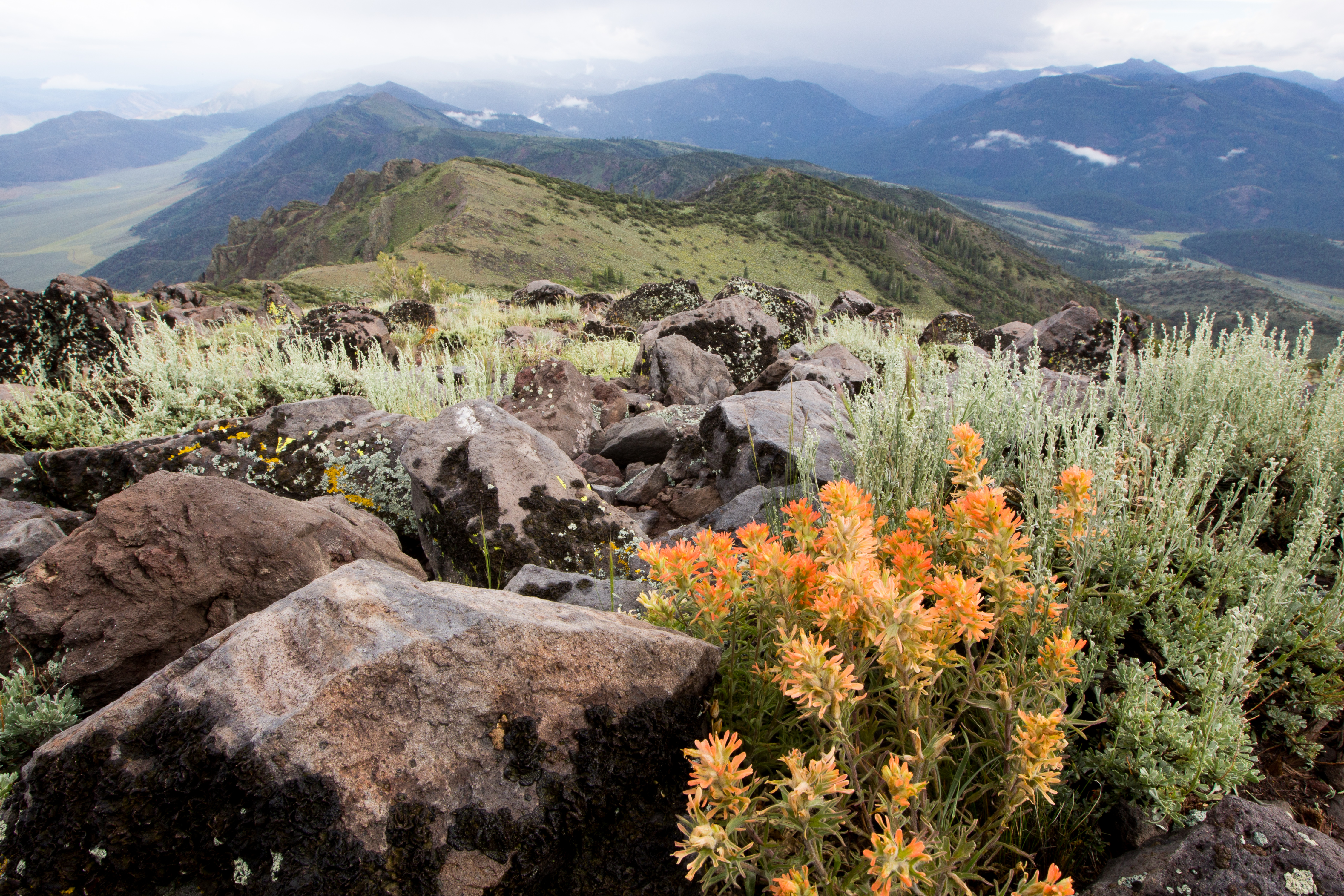 Photo of Monitor Pass