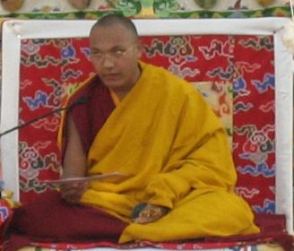 The 17th Karmapa, Ogyen Trinley Dorje.