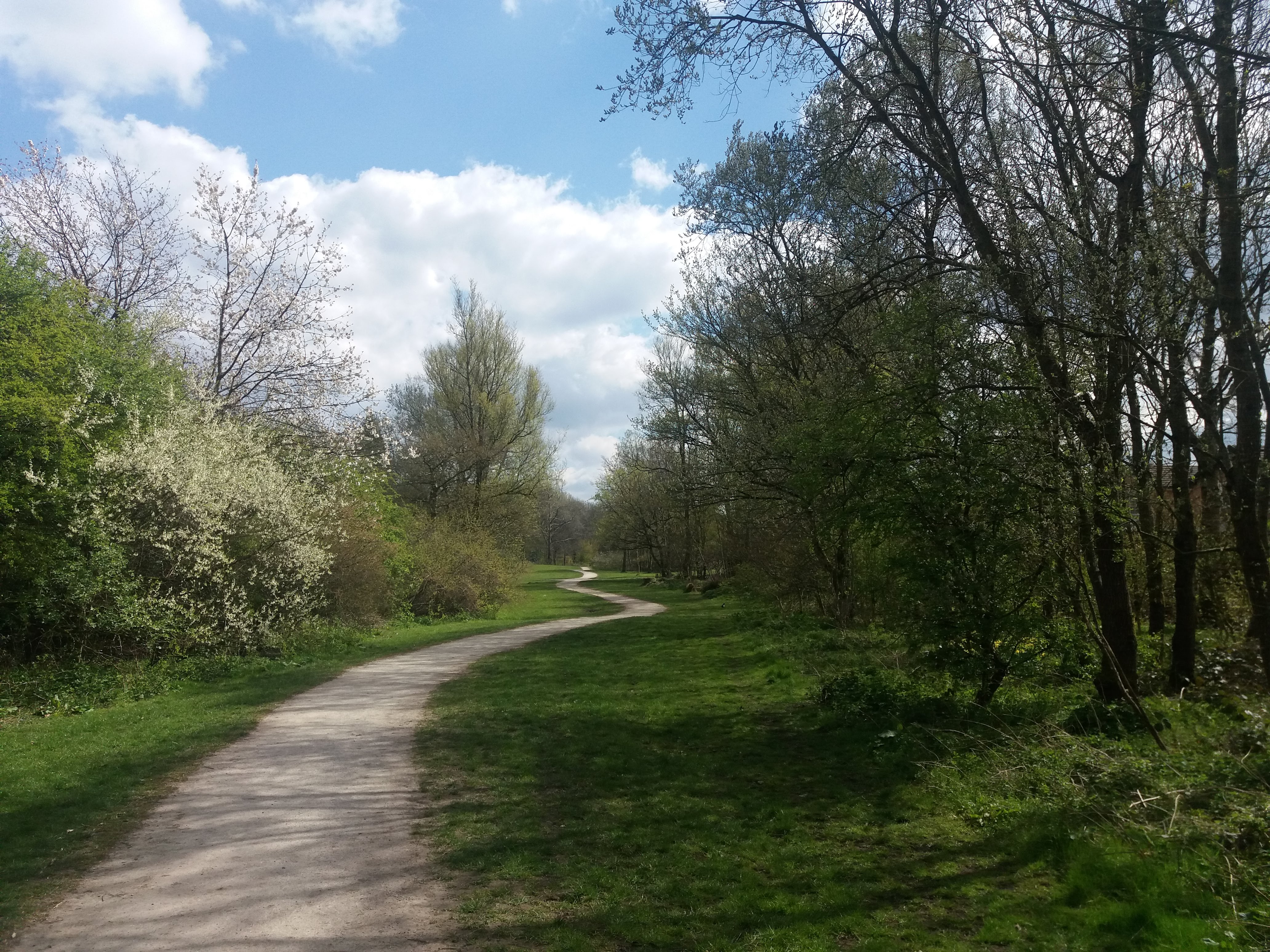 Path line. Чудо Поляна Гатчина. Гатчина парк зверинец чудо Поляна. Чудо Поляна Гатчина памятник. Чудо Поляна в Гатчине фото.