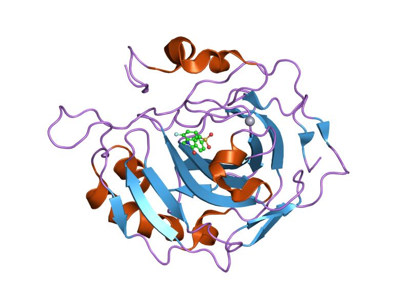 File:PDB 1g45 EBI.jpg