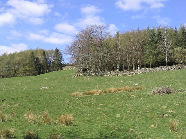 File:Pasture field and trees - geograph.org.uk - 399713.jpg