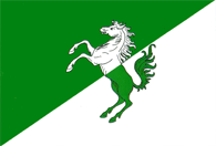 File:Rajon Fălești Flag.gif