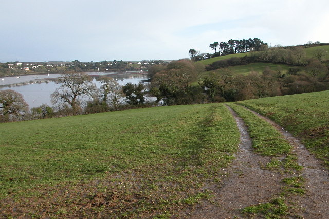 Restronguet Creek - geograph.org.uk - 125380