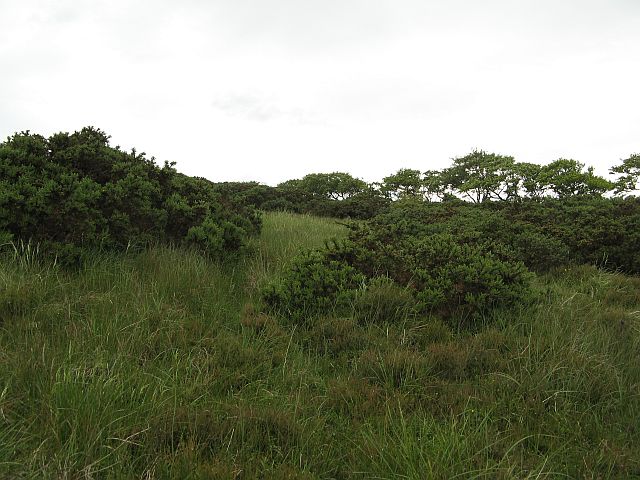 File:Rough ground on Dalks Law - geograph.org.uk - 467153.jpg