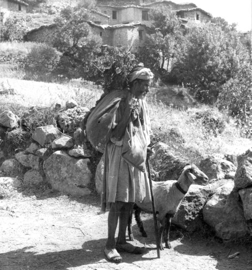 File:Rural Scene, Algeria (6797433185).jpg