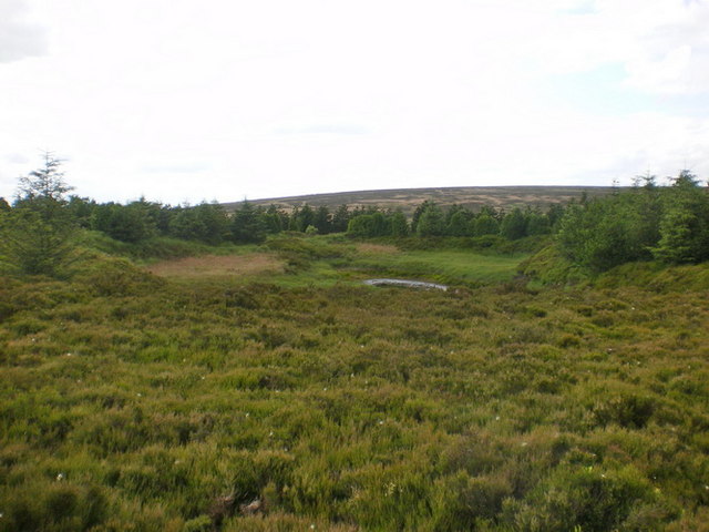 File:Seasonal pond west of Kebs Cote - geograph.org.uk - 1398923.jpg