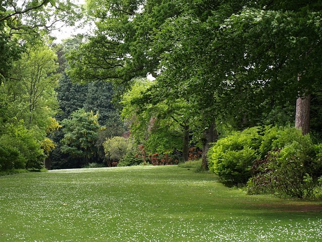 File:The Glade, Dartington Hall Gardens - geograph.org.uk - 827466.jpg