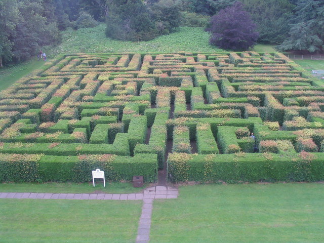 File:The maze at Traquair - geograph.org.uk - 492940.jpg