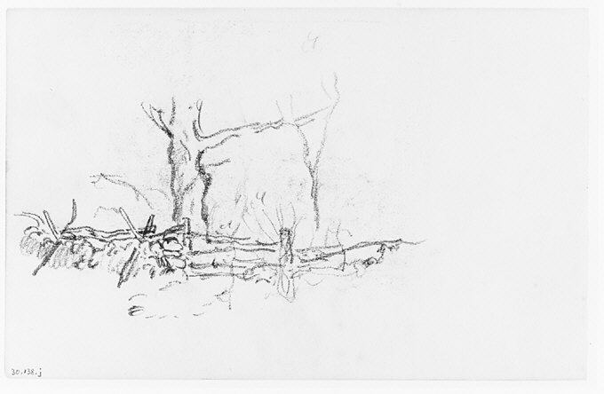 File:Trees behind a Fence (from Sketchbook) MET 263378.jpg