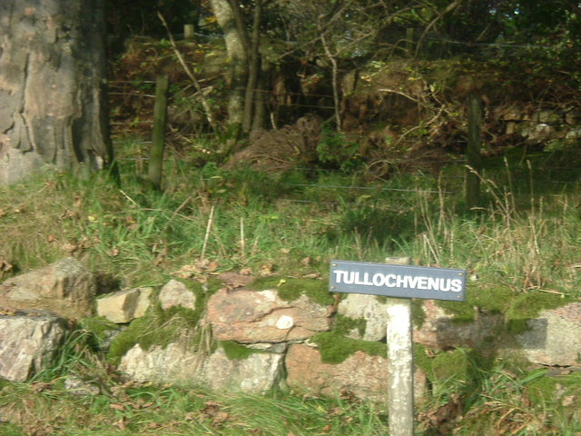 File:Tullochvenus - geograph.org.uk - 265254.jpg