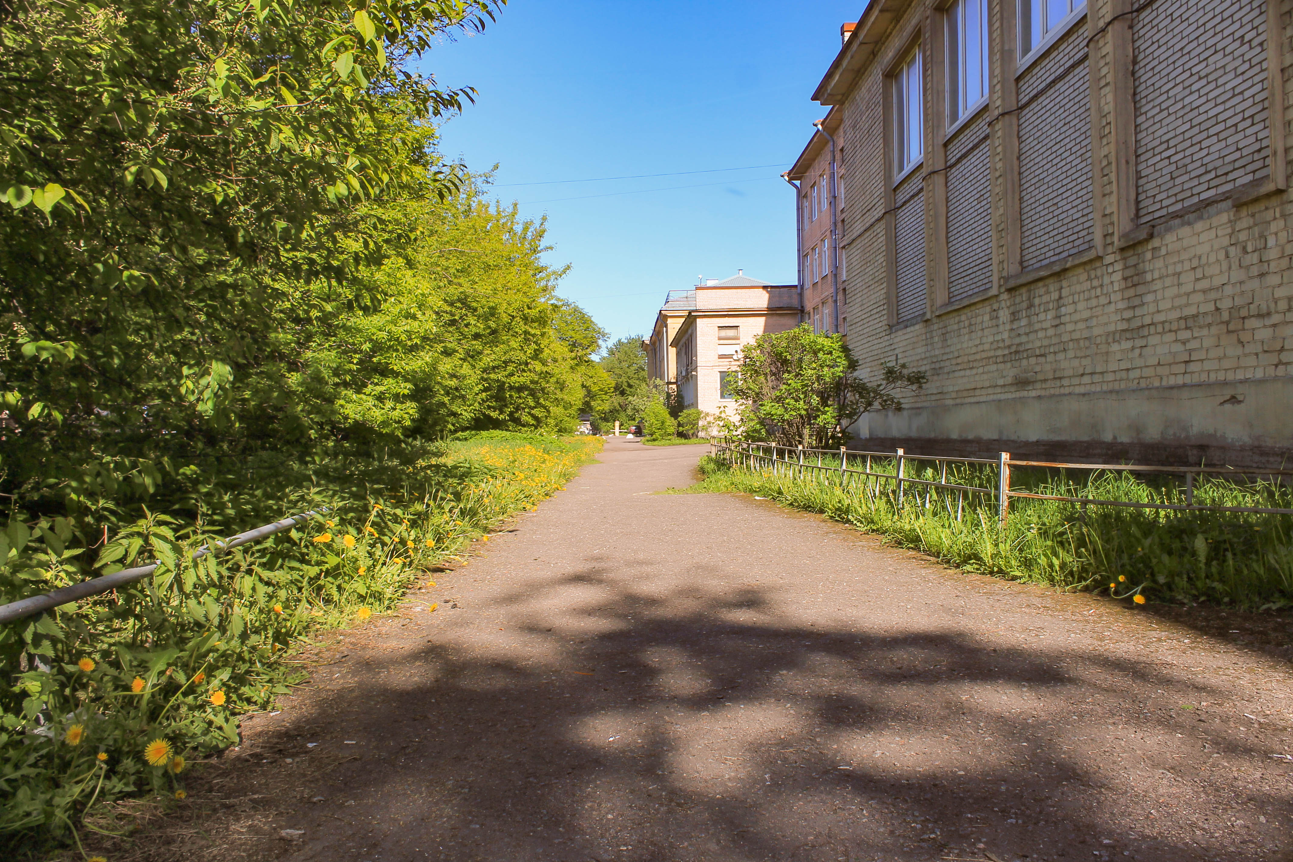 Аллеи города санкт петербурга. Санкт Петербургская аллея Петрозаводск. Виноградовский сквер в СПБ. Зеленые уголки Санкт Петербурга. Межевая ул СПБ.