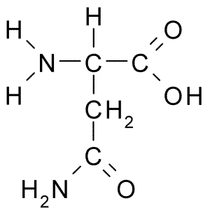 File:Asparagine.png