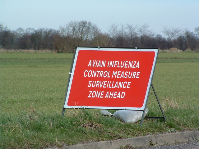 File:Avian Influenza (Bird Flu) Sign - geograph.org.uk - 339930.jpg