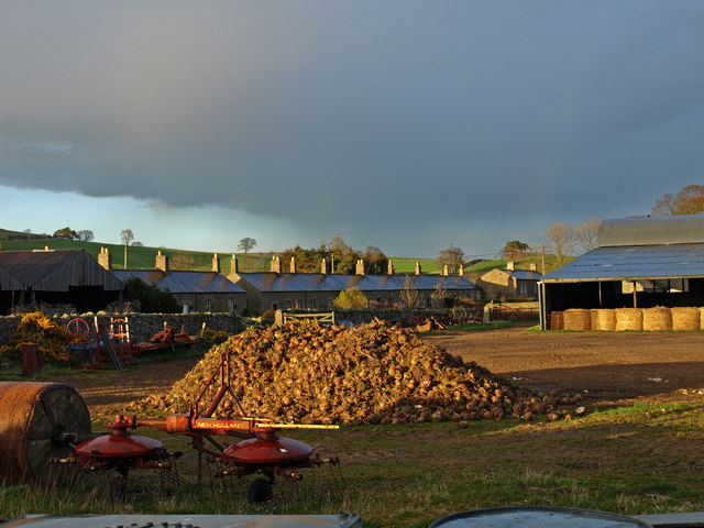 Brandon, Ingram valley - geograph.org.uk - 784406