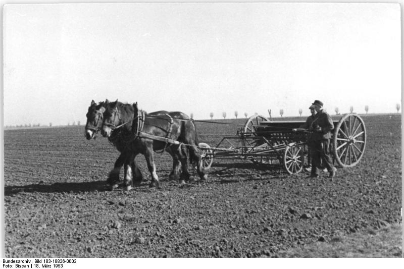 File:Bundesarchiv Bild 183-18826-0002, LPG Ottersleben, Aussaat von Sommerweizen.jpg