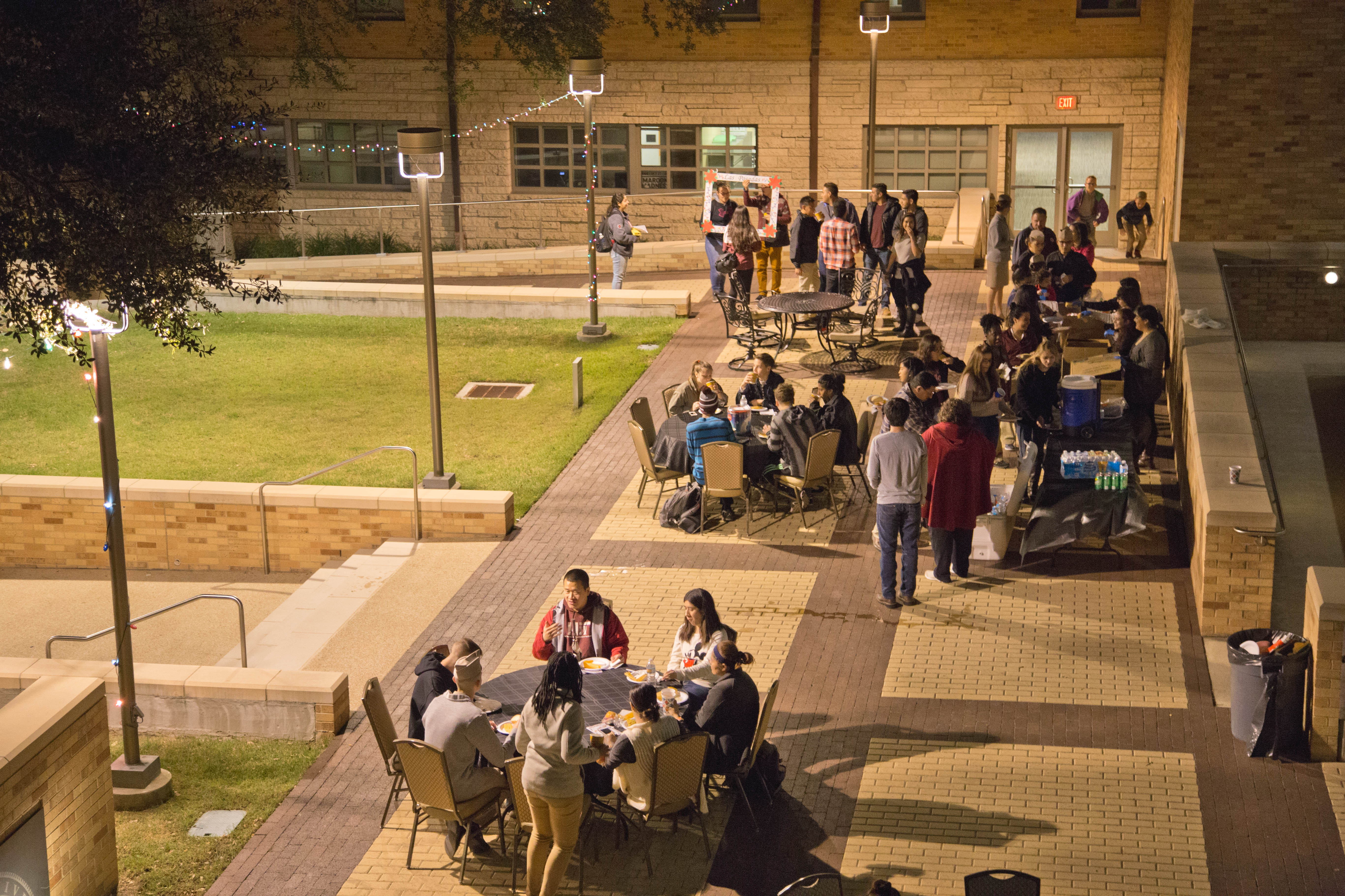 Английский м университет. Texas a m University 5 дорожка. Texas a&m University , 2001 , Очное отделение.