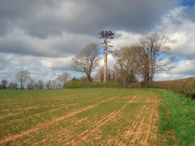 File:Communications mast at Grendon Green - geograph.org.uk - 1515331.jpg