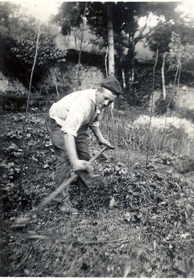 Giovane agricoltore latino uomo diserbo con guanti da giardinaggio nel  mezzo della piantagione agricoltura