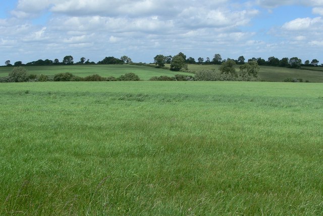 File:Farmland alongside the A5199 Welford Road - geograph.org.uk - 864266.jpg