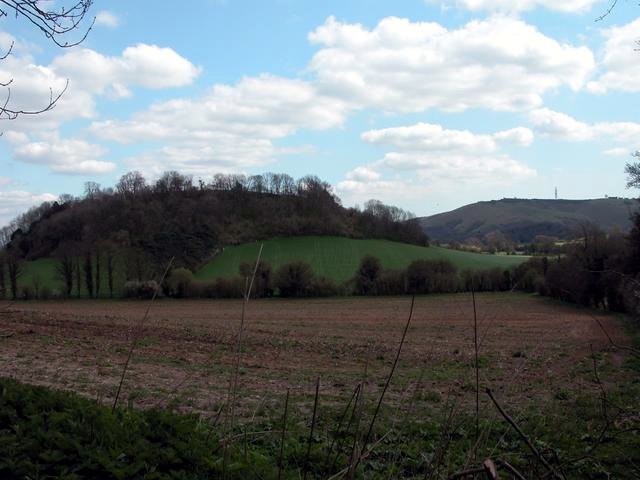 File:Farmland at the foot of Barrow Hill - geograph.org.uk - 2642.jpg