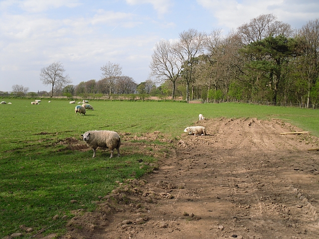 File:Field behind Rosley Village Hall - geograph.org.uk - 1265336.jpg