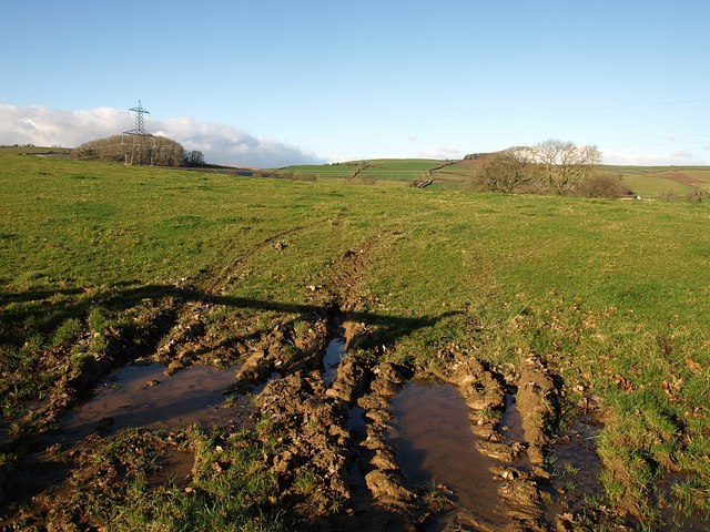 File:Field near Barkingdon Manor - geograph.org.uk - 1074298.jpg