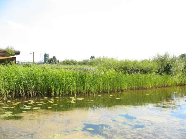 File:Greenwich Ecology Park - geograph.org.uk - 516393.jpg